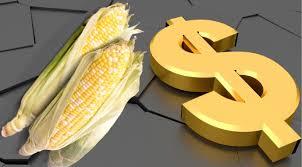 Фото: Agroportal.ua